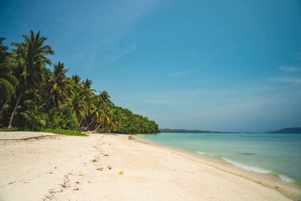 5 Amazing Reasons To Visit Andaman and Nicobar islands